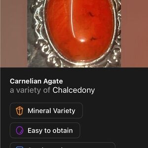 Carnelian Agate Silver plated Pendant